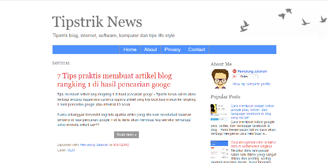 Tips memilih template blog yang benar bagi pemula